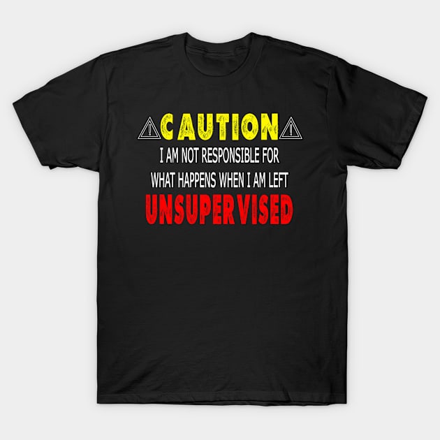 Funny Work From Home Gift T-Shirt by JPDesigns